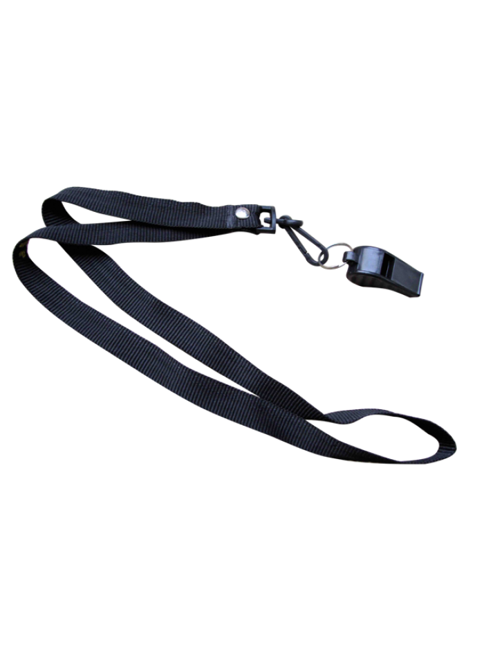 Whistle lanyard