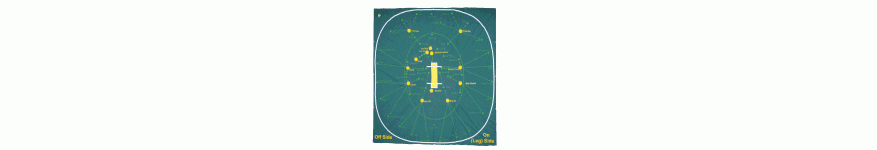 Cricket Training Mats