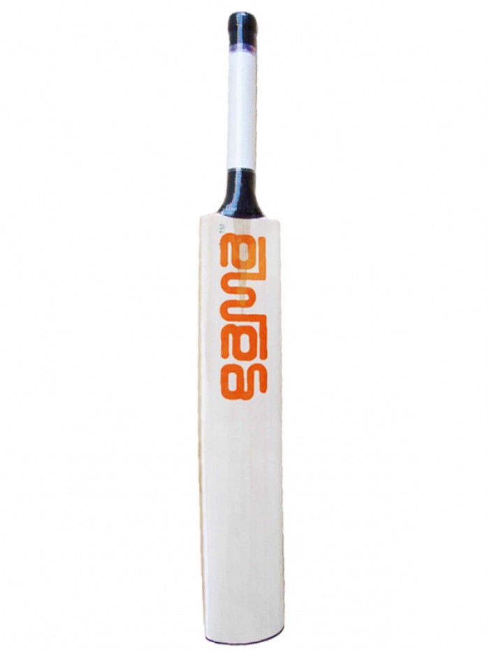 Tron Himachal Willow Cricket Bat