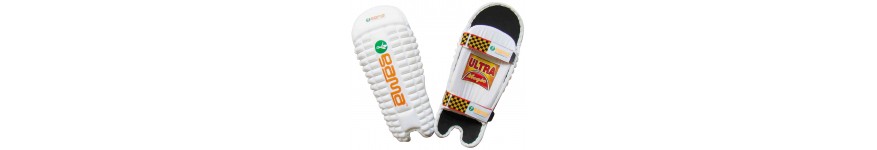 Batting and Wicket Keeping Pads