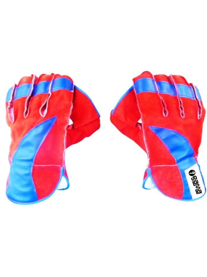 Club Wicket Keeping Gloves