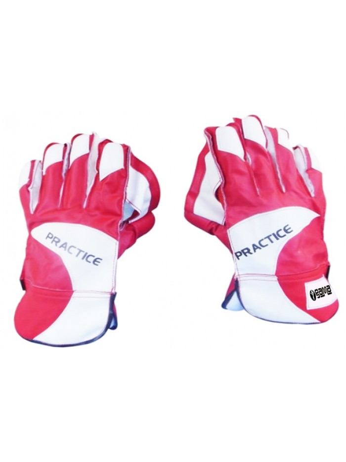 Wicket Keeping Gloves