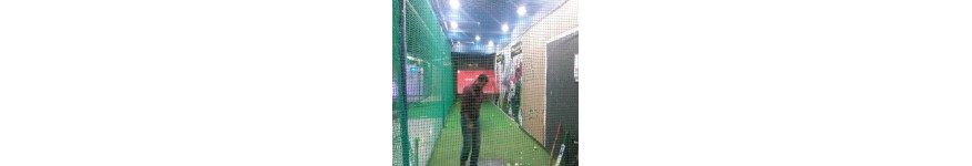 Virtual Cricket Simulators